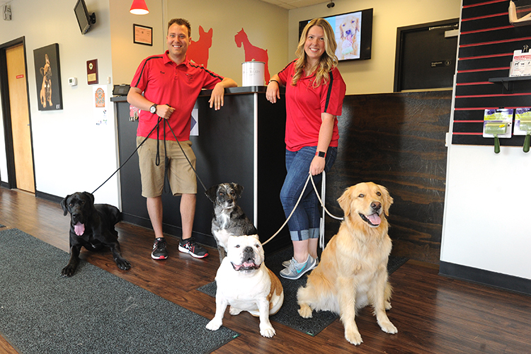 Entrepreneurial cousins Dan and Mallory Poirier in the front office of Fetch n’ Catch. The pair specialize in canine pampering. 