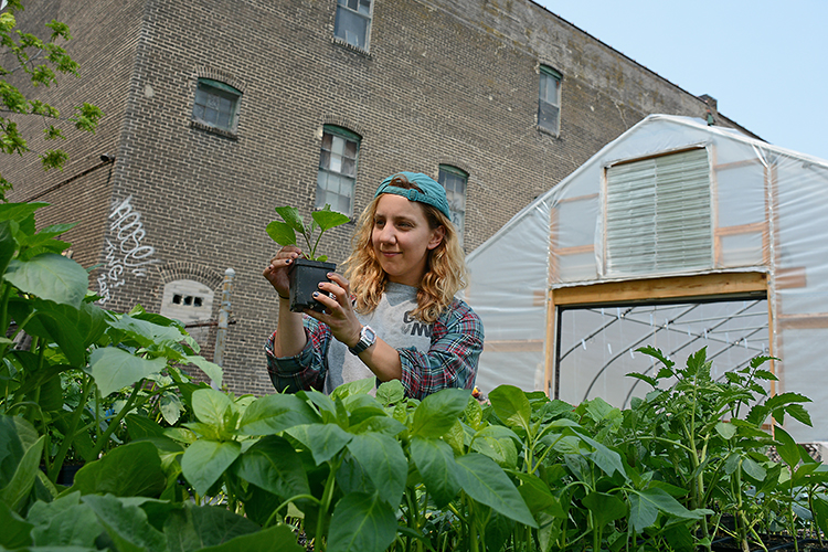 Framed by the urban surroundings of Buffalo’s East Side, Mayda Pozantides tends to her plants. 