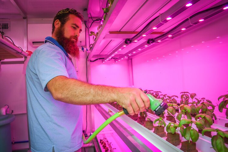 Sal LaTorre waters sprouts in the grow pod on the outside of the property at Castle Campus.