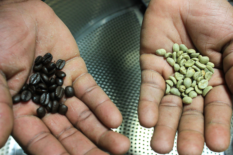 A view of coffee beans before and after they are roasted.