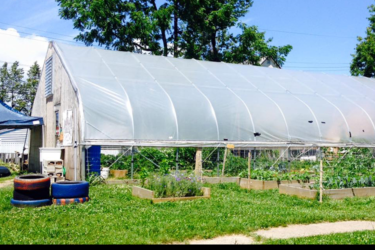 Refugee urban farm on Tri-Main Center vacant property.