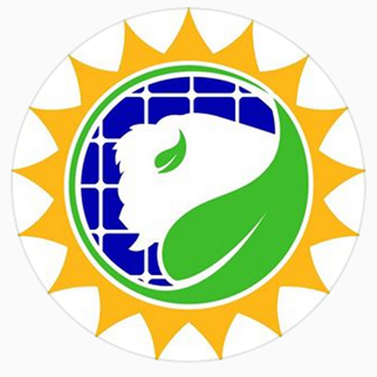 The logo of Buffalo Solar Solutions.