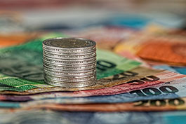 coins-265.jpg