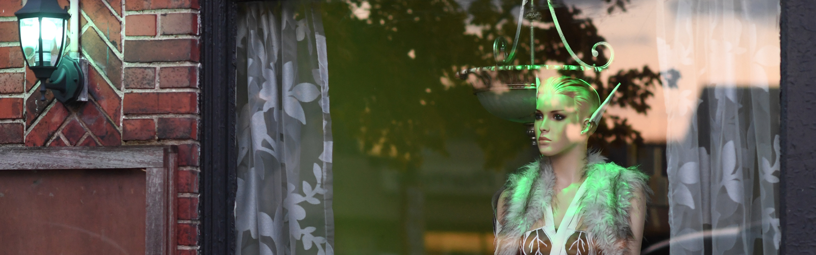 The elf mannequin on display in the Elmwood Avenue shop window of Thinking Elvish Fantasy Chocolate