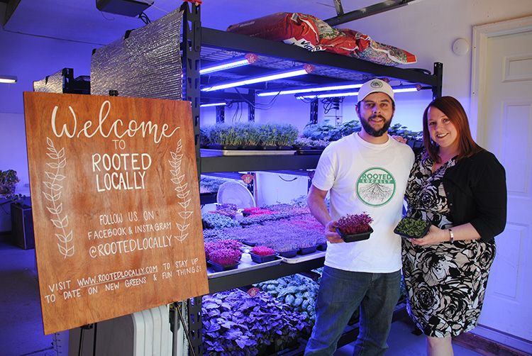 Husband-and-wife-team Justin and Lisa Brocato use vertical farming methods to provide their customers with locally grown, high-quality micro greens year round.