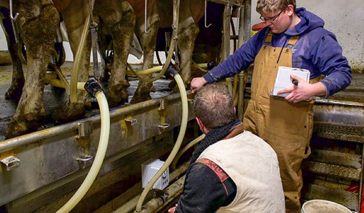 Area farmers use the SomaDetect sensor to measure critical indicators of dairy quality (fat, protein, somatic cell counts, progesterone, and antibiotics) from cows at every milking.