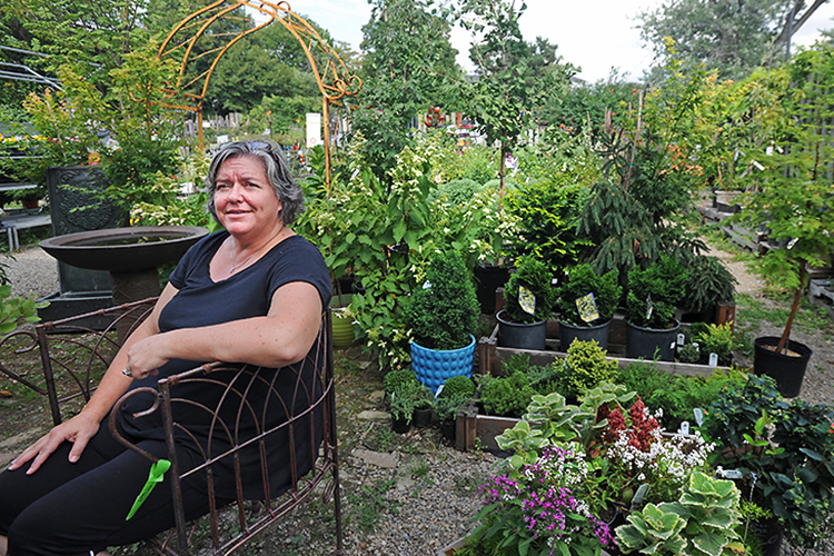 Flanked by the bloom of late summer, Patti Jablonski-Dopkin, general manager of Urban Roots Community Garden Center, sits in the courtyard/showroom of her plant nursery.