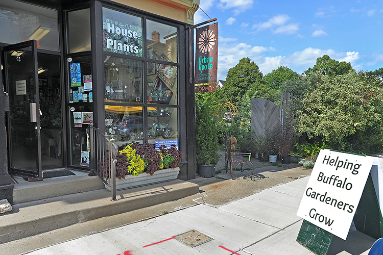 Urban Roots is a community cooperative garden center located at 428 Rhode Island St. on Buffalo's West Side.